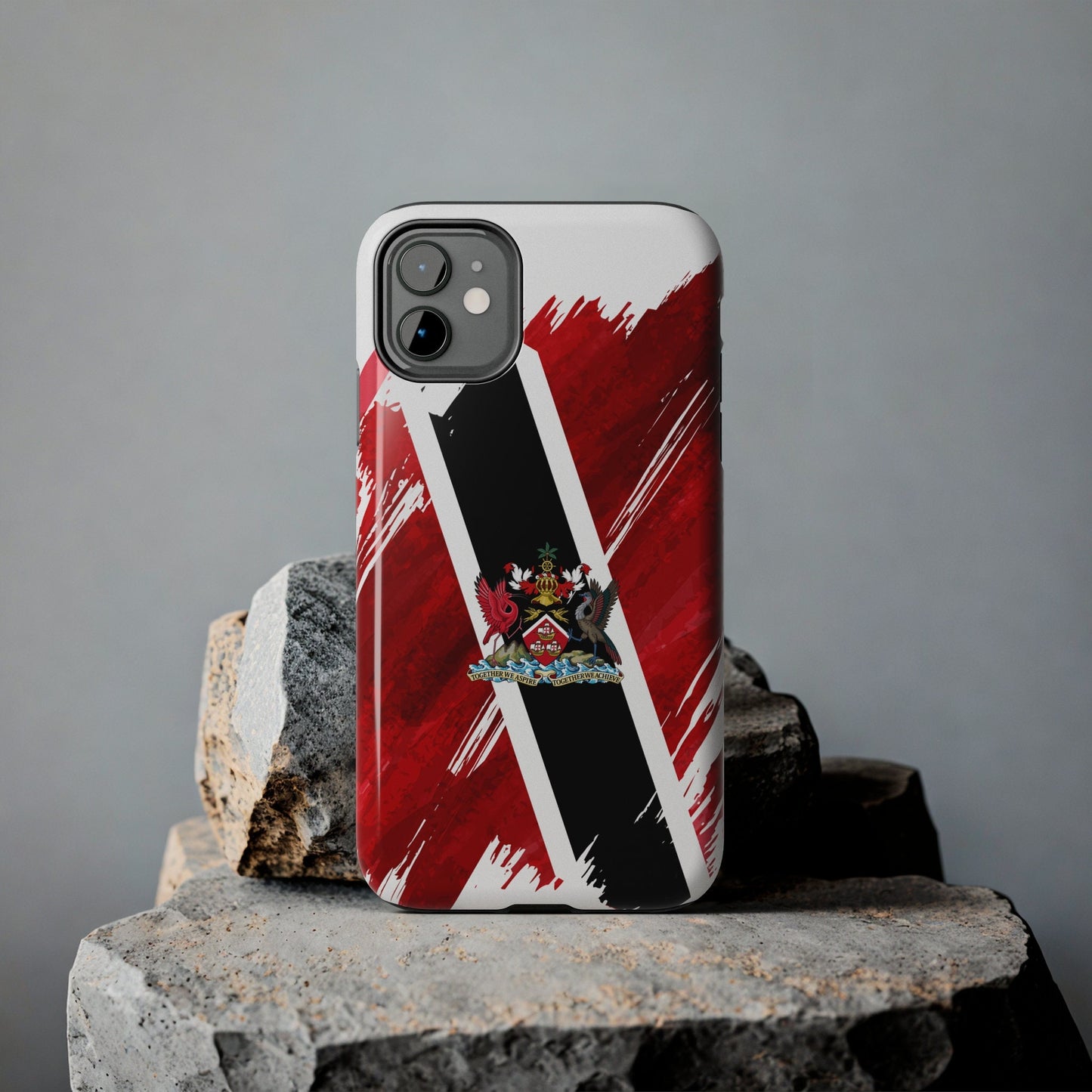 Trinidad and Tobago Flag iPhone Case iPhone 15 14 13 12 Mini 11 XR Xs X 8 7 SE iPhone Pro Max , Iphone cover, Iphone Tough Case