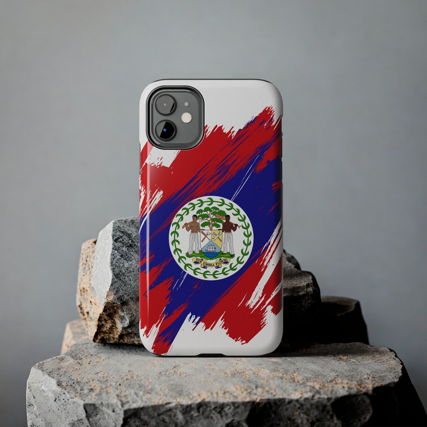 Belize Flag iPhone Case iPhone 15 14 13 12 Mini 11 XR Xs X 8 7 SE iPhone Pro Max , Iphone cover, Iphone Tough Case