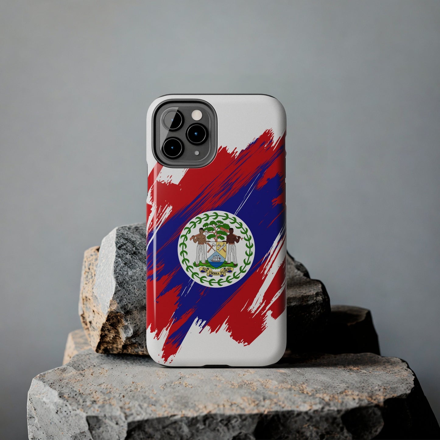 Belize Flag iPhone Case iPhone 15 14 13 12 Mini 11 XR Xs X 8 7 SE iPhone Pro Max , Iphone cover, Iphone Tough Case