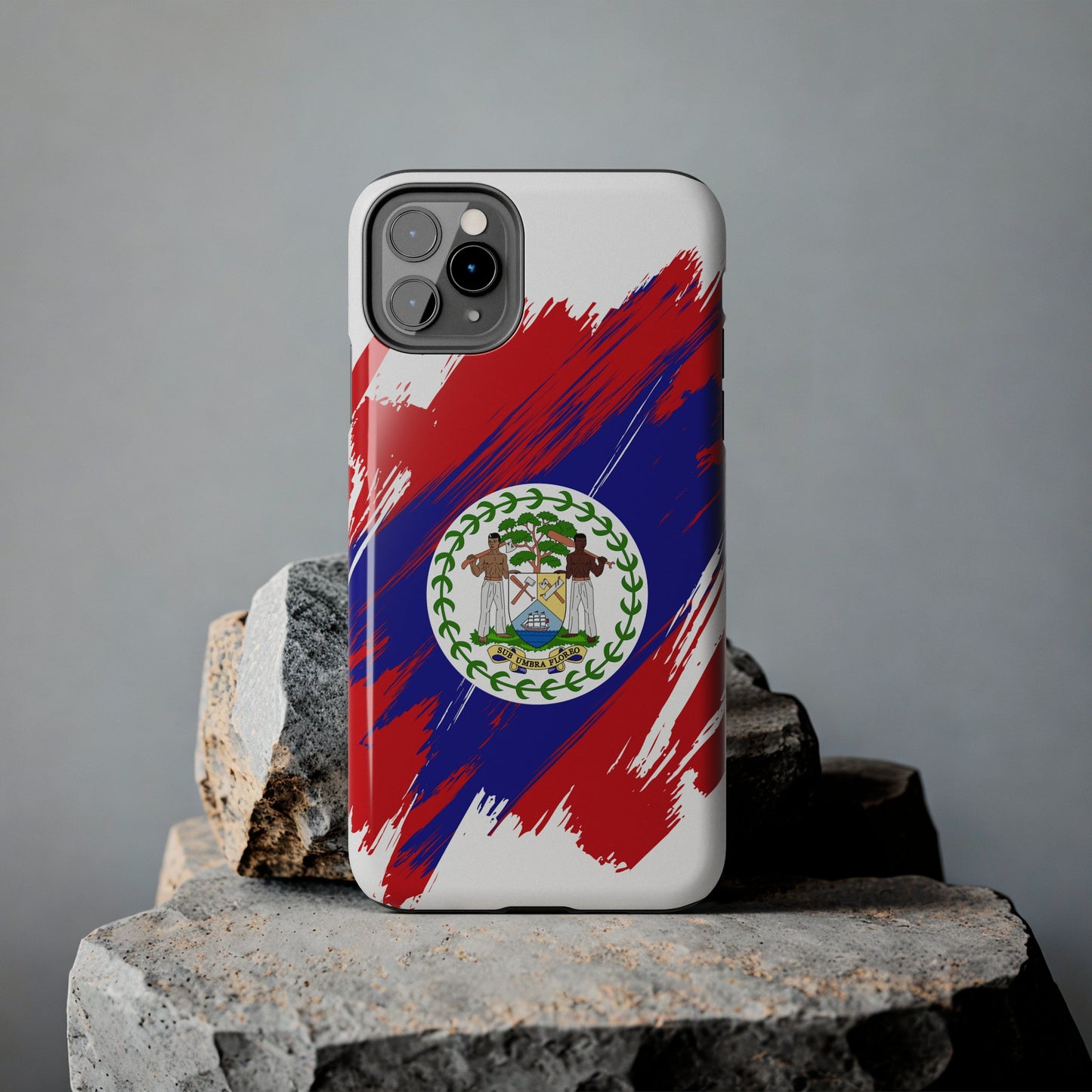 Belize Flag iPhone Case iPhone 15 14 13 12 Mini 11 XR Xs X 8 7 SE iPhone Pro Max , Iphone cover, Iphone Tough Case