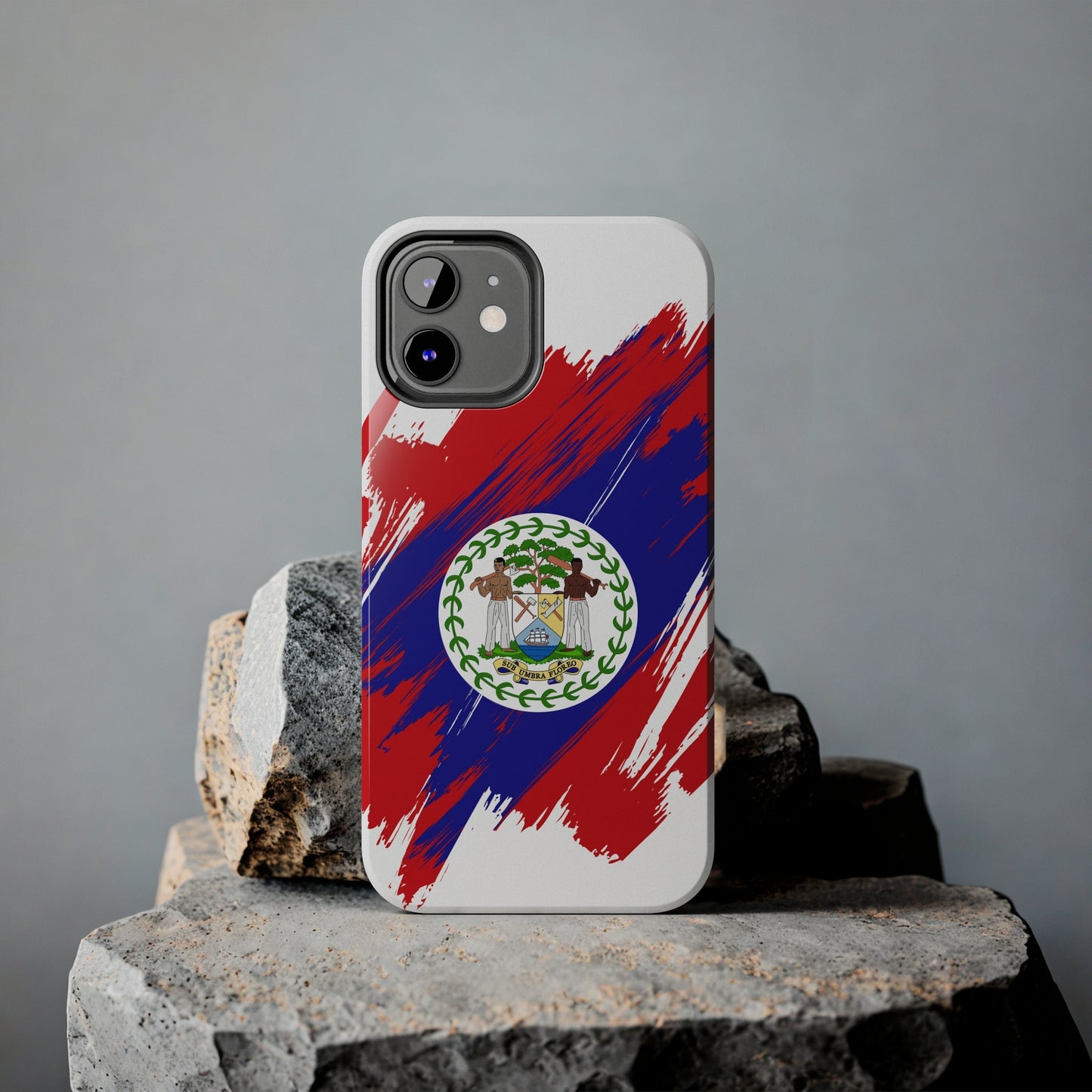 Belize Flag iPhone Case iPhone 15 14 13 12 Mini 11 XR Xs X 8 7 SE iPhone Pro Max , Iphone cover, Iphone Tough Case