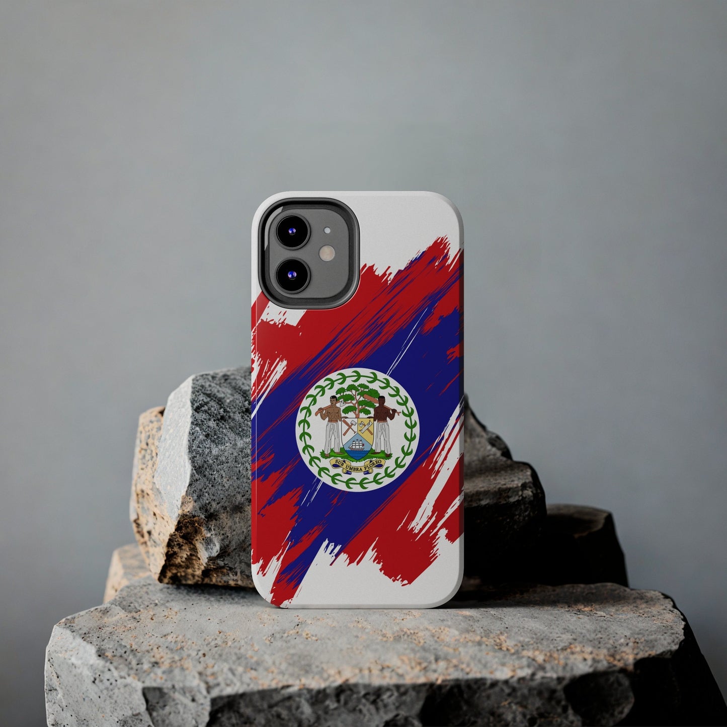 Belize Flag iPhone Case iPhone 15 14 13 12 Mini 11 XR Xs X 8 7 SE iPhone Pro Max , Iphone cover, Iphone Tough Case